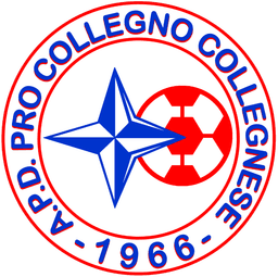 Pro Collegno